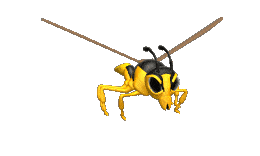 Will's humour - Wasps