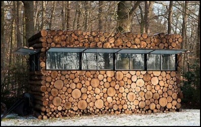 Window in Woodshed