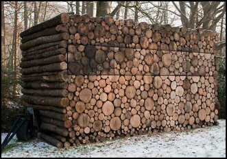 Windows in the Woodshed