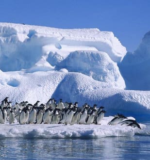 Winter at South Pole