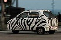 Zebra car